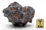 61.21g SERICHO Pallasite Meteorite