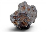 61.21g SERICHO Pallasite Meteorite