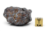 61.21g SERICHO Pallasite Meteorite
