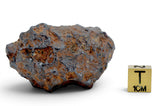 72.29g SERICHO Pallasite Meteorite