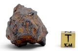 72.29g SERICHO Pallasite Meteorite