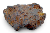72.29g SERICHO Pallasite Meteorite