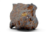 72.29g SERICHO Pallasite Meteorite