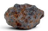72.29g SERICHO Pallasite Meteorite