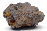 72.29g SERICHO Pallasite Meteorite