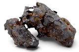 47.01g SERICHO Pallasite Meteorite