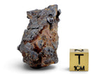 47.01g SERICHO Pallasite Meteorite
