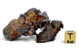 47.01g SERICHO Pallasite Meteorite