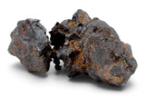 47.01g SERICHO Pallasite Meteorite