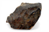 41.17g Errachidia 004 I Winonaite Anomalous Primitive Achondrite Meteorite
