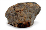 41.17g Errachidia 004 I Winonaite Anomalous Primitive Achondrite Meteorite