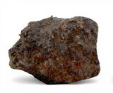41.60g Errachidia 004 I Winonaite Anomalous Primitive Achondrite Meteorite