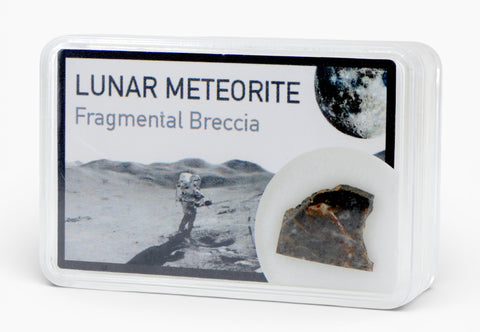 0.48g Lunar Fragmental Breccia Meteorite slice I NWA 16530