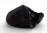 0.53g TARDA C2-ung Carbonaceous Chondrite Meteorite fragment