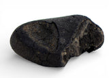 0.53g TARDA C2-ung Carbonaceous Chondrite Meteorite fragment