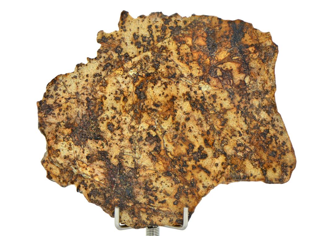 20.74g ERG ATOUILA 003 Primitive Achondrite Ungrouped – Top Meteorite