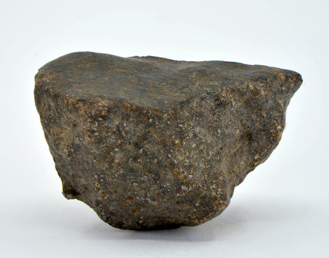 35.9g Winonaite Primitive Achondrite Meteorite