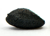 0.25g AGUAS ZARCAS Oriented Meteorite I Carbonaceous Chondrite CM2