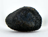 0.25g AGUAS ZARCAS Oriented Meteorite I Carbonaceous Chondrite CM2