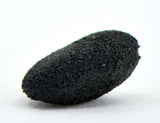 0.25g AGUAS ZARCAS Oriented Meteorite I Carbonaceous Chondrite CM2