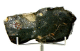 34.95g Lunar Fragmental Breccia Meteorite End Piece I NWA 16530