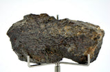 34.95g Lunar Fragmental Breccia Meteorite End Piece I NWA 16530