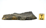 34.95g Lunar Fragmental Breccia Meteorite End Piece I NWA 16530