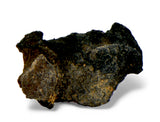 1.16g Carbonaceous Chondrite C3-ung I NWA 12416