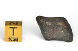 6.29g ORDINARY CHONDRITE Meteorite with FRESH CRUST
