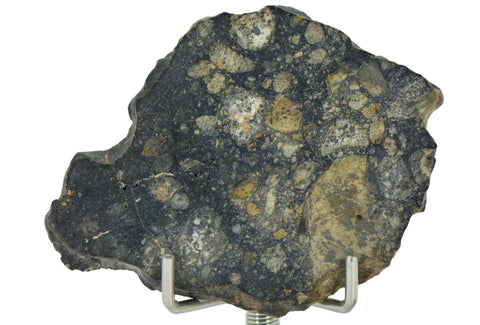 8.19g Eucrite Slice Monomict Basaltic  Breccia