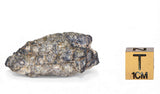 12.96g TOUAT 005 Lunar Breccia Meteorite