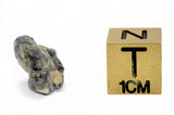 1.31g TOUAT 005 Lunar Breccia Meteorite