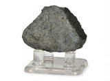 33.5g NWA 12925 I Carbonaceous Chondrite with Very Fresh Fusion Crust