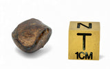 9.29g NWA 859 TAZA meteorite - Ungrouped Iron Meteorite