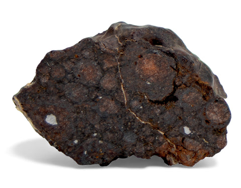 1.16g CR2 Carbonaceous Chondrite Meteorite Slice I NWA 7020