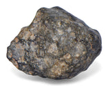 7.74g TOUAT 005 Lunar Breccia Meteorite