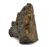 20.63g CR2 Carbonaceous Chondrite Meteorite I NWA 1180