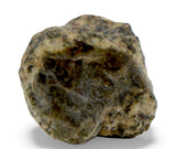 1.35g Erg Chech 002 Ungrouped Achondrite Meteorite