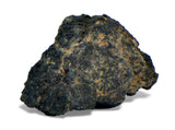 2.06g Carbonaceous Chondrite C3-ung I NWA 12416