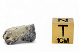 2.02g TOUAT 005 Lunar Breccia Meteorite