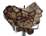 36.52g AGOUDAL Heart shaped Iron Meteorite I IIAB Iron