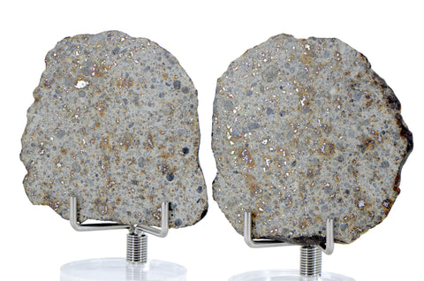 21.6g & 28.09g H5 Chondrite Meteorite half pieces with fusion crust I NWA 18056