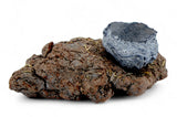 3.34g CARANCAS Meteorite Fragment with Crust and Original Impact Crater I H4-5 Chondrite Rare Crater Maker