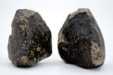 21.24g & 30.31g H5 Chondrite Meteorite half pieces with fusion crust I NWA 18056