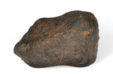4.27g ORDINARY CHONDRITE Meteorite with FRESH CRUST