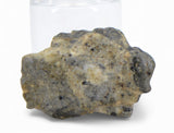 1.39g TOUAT 005 Lunar Breccia Meteorite