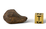 28.8g MUNDRABILLA meteorite - Iron Meteorite