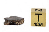 1.16g CR2 Carbonaceous Chondrite Meteorite Slice I NWA 7020