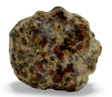 1.49g Erg Chech 002 Ungrouped Achondrite Meteorite end slice