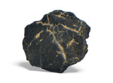 1.11g Carbonaceous Chondrite C3-ung I NWA 12416